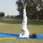 sarvangasana-steps-benefits-precaution