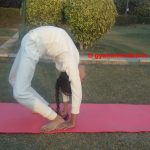 chakrasana-steps-benefits-precaution