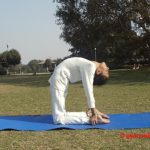 ustrasana-steps-benefits-precaution