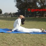 yogasana steps, type and benfits